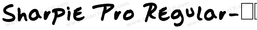 Sharpie Pro Regular字体转换